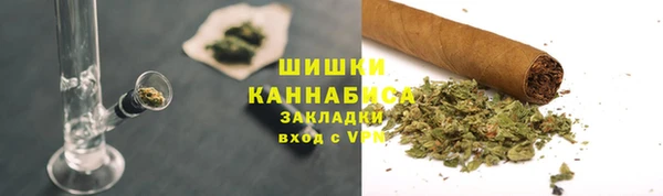гидра Верея