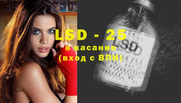бошки Бородино