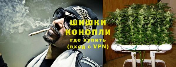 прущие грибы Верхнеуральск