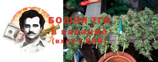 гидра Верея