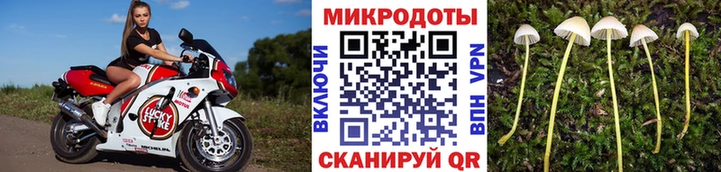 Псилоцибиновые грибы Cubensis  мега маркетплейс  Славянск-на-Кубани 